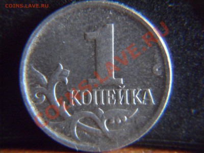 1  копейка на суд - SAM_2416.JPG