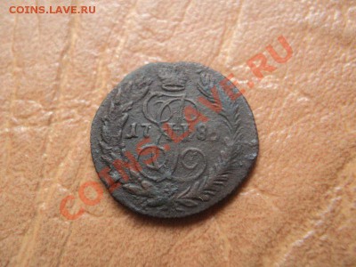 полушки 1786, 94 км до 29.10.12 22:00 по мск. вр. - DSC04052.JPG