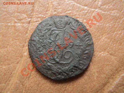 полушки 1786, 94 км до 29.10.12 22:00 по мск. вр. - DSC04054.JPG