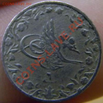 10 кирш Египет - DSCN3103_thumb