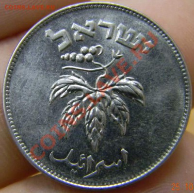 50 прута Израиль UNC - DSCN3105_thumb