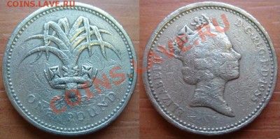 Великобритания: 1 фунт 1985 года Уэльс до 31.10.12 22-00 - 1 фунт 1985.JPG