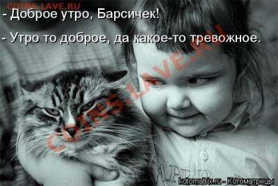 юмор - снимок