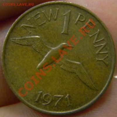 новый пенни Гернси 1971г. - DSCN3147_thumb