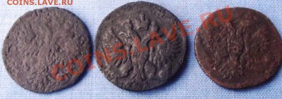 3 полушки-1730,1734,1735гг. до 30.10.12г. до 22-00мск с 1руб - DSCF1635