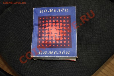 Светило камелёк - IMG_1698
