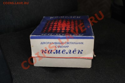 Светило камелёк - IMG_1699