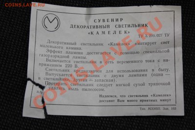 Светило камелёк - IMG_1702