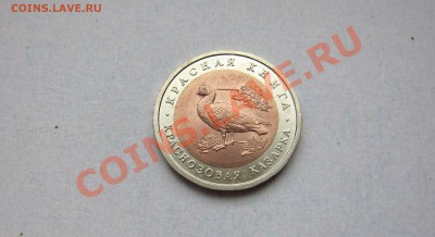 КК 92г. КРАСНОЗОБАЯ КАЗАРКА до 26.10.12 - КК_1