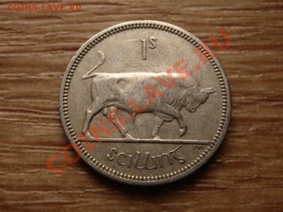 Ирландия шиллинг 1963  до 29.10.12 в 21.00 М - IMG_5381