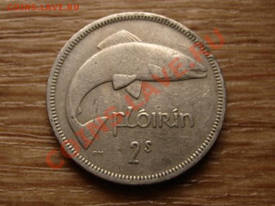 Ирландия флорин 1963  до 29.10.12 в 21.00 М - IMG_5383