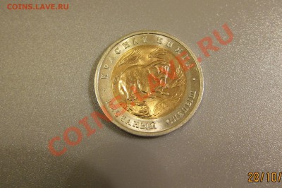 КК 94г. ПЕСЧАНЫЙ СЛЕПЫШ.Короткий.до 30.10. 21-00 мск - Слепыш_1