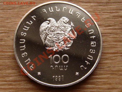 н Выдра и Чайка на оценку - IMG_5536