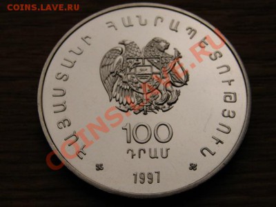 н Выдра и Чайка на оценку - IMG_5531