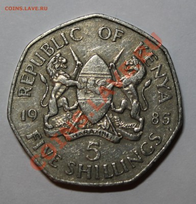 КЕНИЯ 5 шиллингов 1985 до 1.11.12 22-00 мск - IMG_3946.JPG