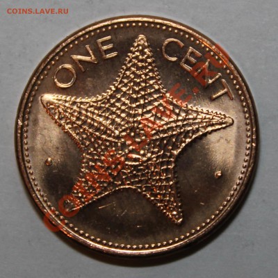 БАГАМЫ – 1 цент (МОАСКАЯ ЗВЕЗДА)  до 1.11.12 22-00 мск - IMG_3951.JPG