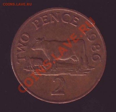 ГЕРНСИ. 2 ПЕНСА. 1986г.КОРОВА.до 03.11.12 в 22.00мск - Гернси 2 пенса 1986 корова 1.JPG