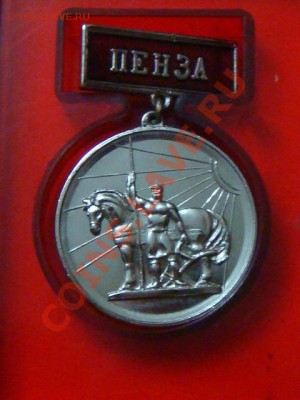 За заботу о красоте города  ПЕНЗА - DSC08836.JPG