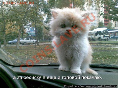юмор - s9wgsf-0WDE