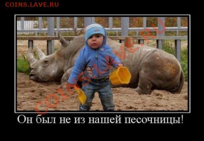 делает - прямо сейчас !!! - lUioTXpuWks