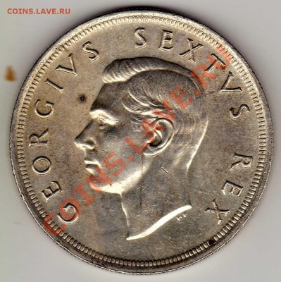 Ag Ю.Африка 5 шиллингов 1952 Кейптаун до 05.11 в 22ч (3478) - img724