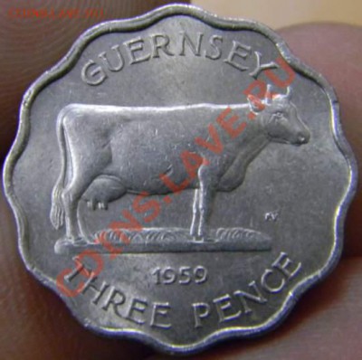 3 пенса Гернси 1959г. - DSCN3191_thumb