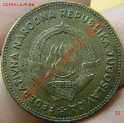 50 динаров Югославия 1959г. - DSCN3224_thumb