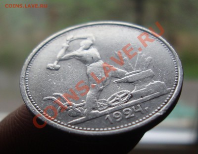 Полинник 1924г. ТР.До 4.11 в 22.00мск - 118