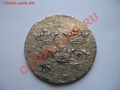 Не знаю что за зверь помогите распознать и оценить - IMG_0738.JPG