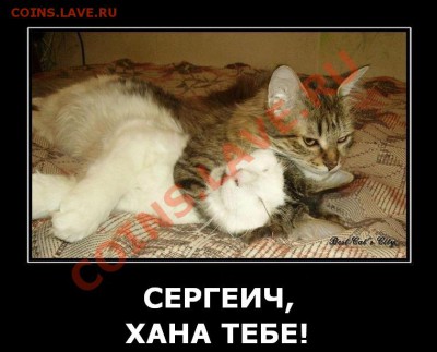 делает - прямо сейчас !!! - 326247_kote-killer