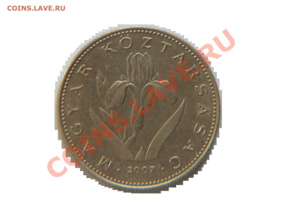 200 и 100 FORINT (BP.) + бонус до04.11.2012г. в 22-00 мос. - P1010719.JPG