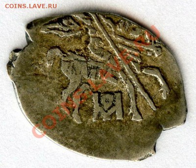 2 чешуйки на опознание - cb80c4b2a5d389c2e857cf1ebfb65bba