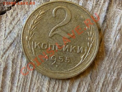 --ПОЛ КОП.1925.ПРИЯТНАЯ.--до.1.11.12-22:00 МСК - DSC09909.JPG