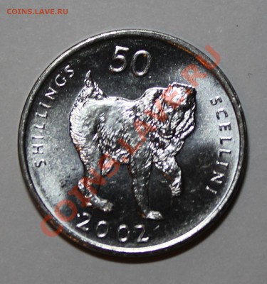 СОМАЛИ 50 шиллингов 2002 (обезьяна) UNC до 6.11.12 22-00 мск - IMG_3913.JPG