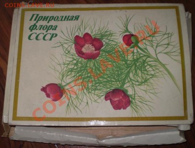 Спичечные коробки. 3 набора. До 7.11.12 в 22.00 - PB020116.JPG