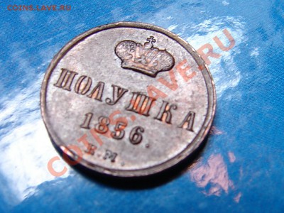 Полушка 1856 ЕМ до 6.11.12 21-00+ - DSC06049