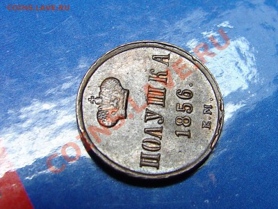 Полушка 1856 ЕМ до 6.11.12 21-00+ - DSC06051