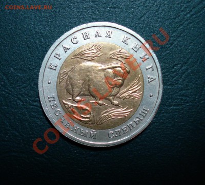 КК 50 руб. 1994 Песчаный слепыш до 07,11.12 в 22.00 по МСК - 1