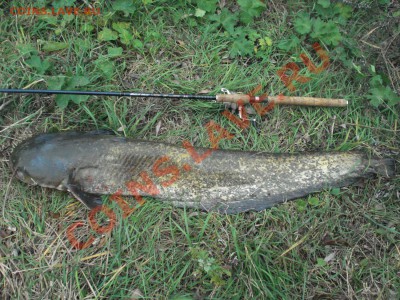 СТРАНИЧКА РЫБАКА - 3