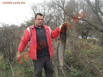 СТРАНИЧКА РЫБАКА - 5