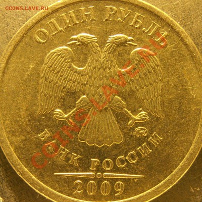 Д - PB040017.JPG
