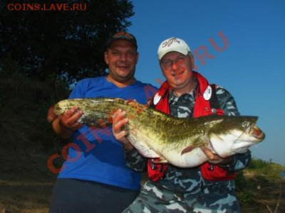 СТРАНИЧКА РЫБАКА - сомятники.JPG