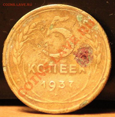 5 копеек 1937 до 09.11.12 по 21.00 мск - IMG_8041.JPG