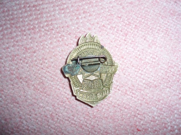 Лучшему вожатому ЦК ВЛКСМ и аюминиевые значки - P9080048.JPG