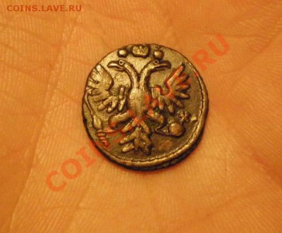 Полушки 1730-1754 годов. Галерея - полушка