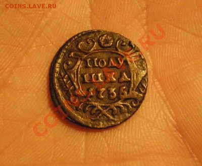 Полушки 1730-1754 годов. Галерея - полушка1