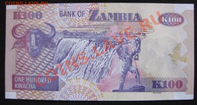 Zambia : 50 и 100 kwacha 2008,2009 в прессе!!!! - IMG_1453.JPG