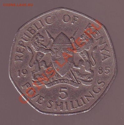 КЕНИЯ. 5 ШИЛЛИНГОВ. 1985г. до 13.11.12 в 22.00мск - Кения. 5 шиллингов. 1985 2.JPG