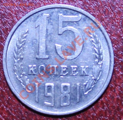 15к81г с остями - IMG_9714