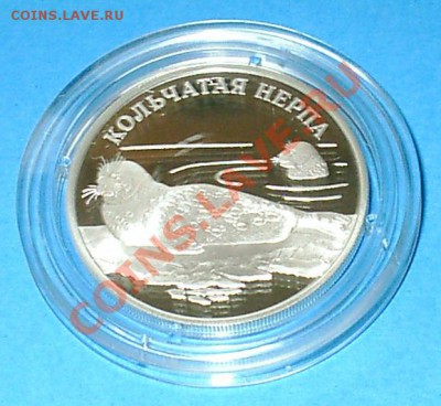 Кольчатая нерпа, Красная книга, 1 рубль, 2007 год, Ag 15.55 - S3000008